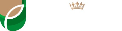 Olio Cigo